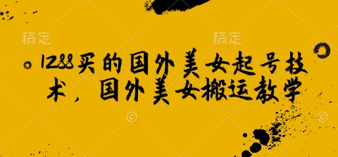 1288买的国外美女起号技术，国外美女搬运教学-蜗牛项目网