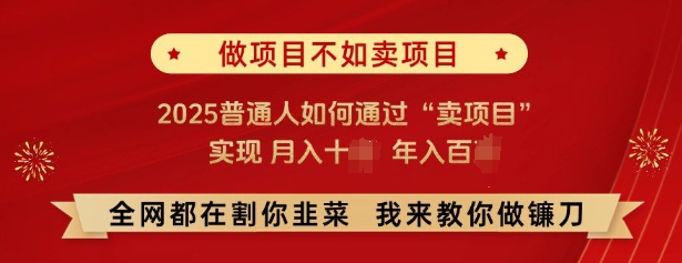 必看，做项目不如卖项目，2025普通人如何通过“卖项目”实现月入十个，年入百个-蜗牛项目网