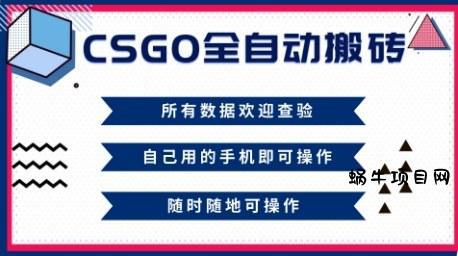 CSGO全自动搬砖,年底钱回家好项目,当天可拿到结果,新手小白轻松月入1W+【揭秘】-蜗牛项目网