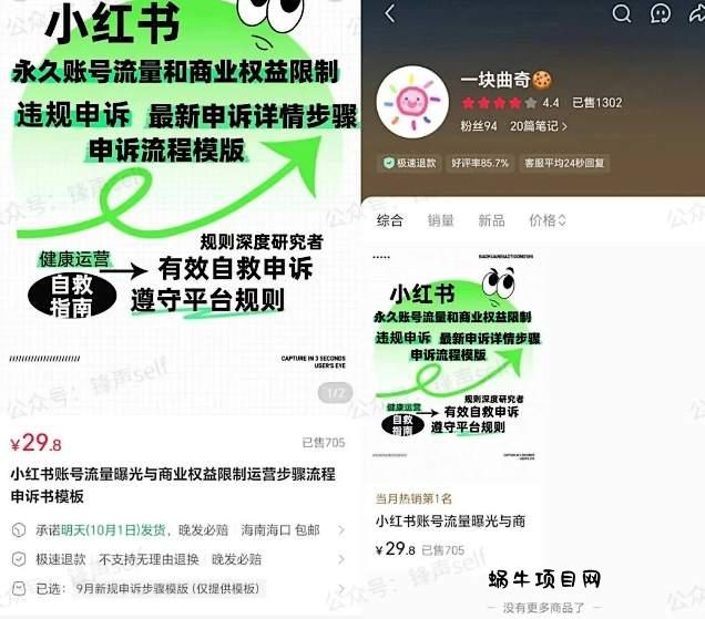 小红书虚拟电商掘金特训营第3期，从0到1带你玩小红书虚拟店铺