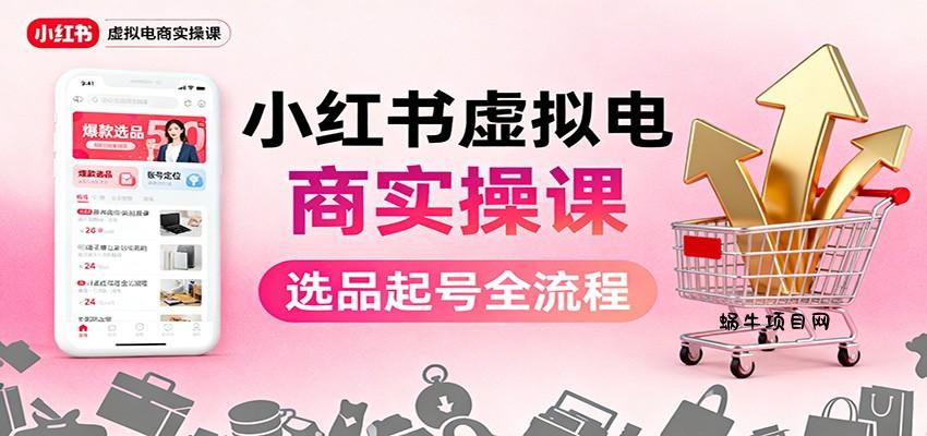 小红书虚拟电商实操课：选品起号+AI 内容创作+店铺运营+引流私域+自动化发笔记-蜗牛项目网