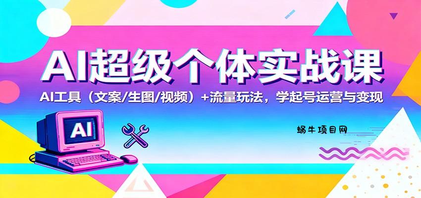 AI超级个体实战课：AI 工具(文案/生图/视频)+ 流量玩法，学起号运营与变现-蜗牛项目网