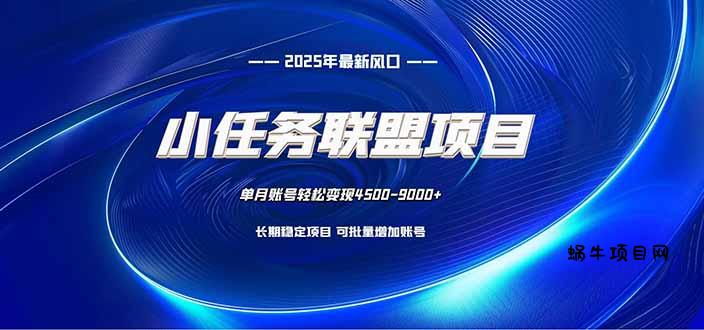 小任务联盟项目：一台电脑每天只需10分钟，轻松简单稳定-蜗牛项目网
