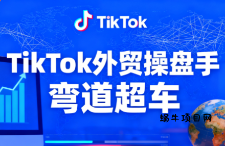 TikTok外贸操盘手(更新11月)-蜗牛项目网
