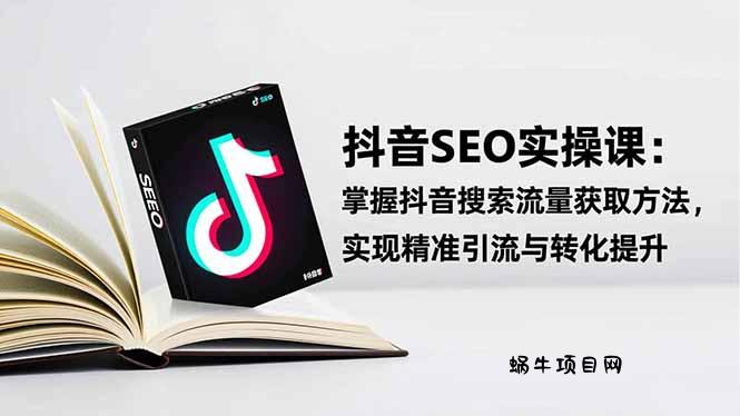 抖音SEO实战引流课：掌握抖音搜索流量获取方法，实现精准引流与转化提升-蜗牛项目网