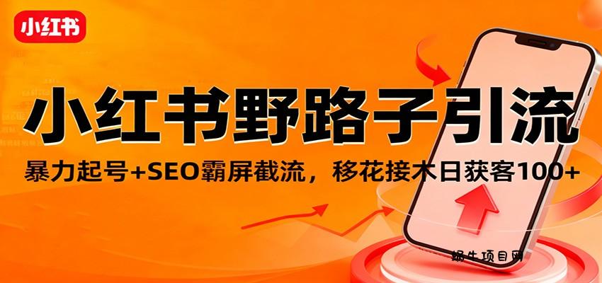 小红书野路子引流，暴力起号+SEO霸屏截流，移花接木日获客100+-蜗牛项目网