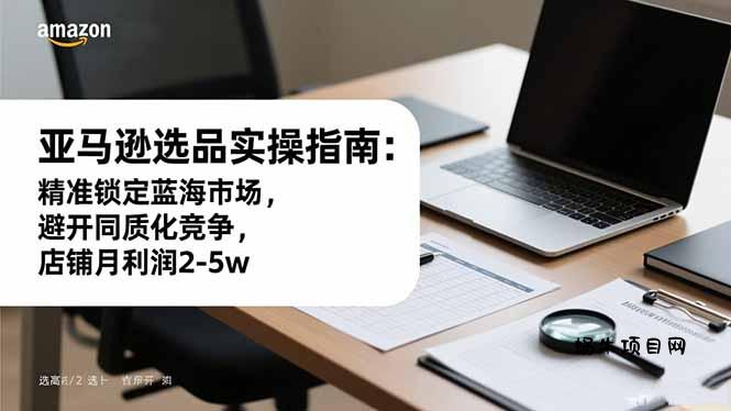 亚马逊选品实操指南：精准锁定蓝海市场，避开同质化竞争，店铺月利润2-5w-蜗牛项目网