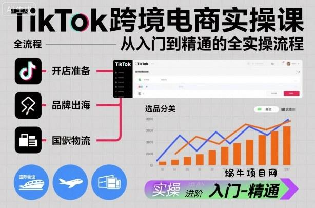 TikTok跨境电商实操课，从入门到精通的全实操流程-蜗牛项目网