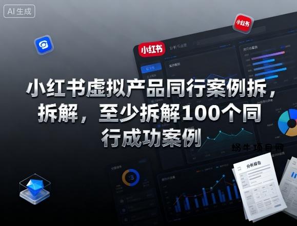 小红书虚拟产品同行案例拆解,至少拆解100个同行成功案例(更新)-蜗牛项目网