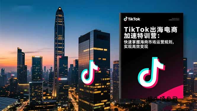 TikTok出海电商加速特训营:快速掌握海外市场运营规则,实现高效变现-蜗牛项目网
