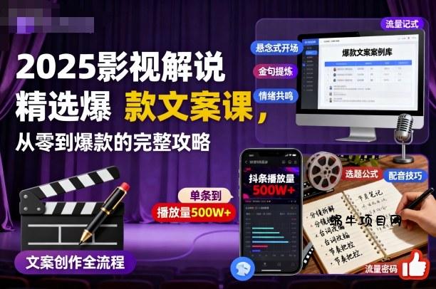 2025影视解说精选爆款文案课，从零到爆款的完整攻略(更新十五十六期)-蜗牛项目网