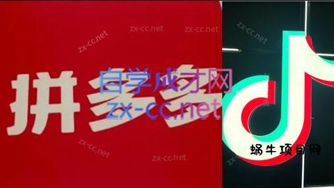 老陶电商·拼多多+抖音小店无货源开店(更新11月)-蜗牛项目网