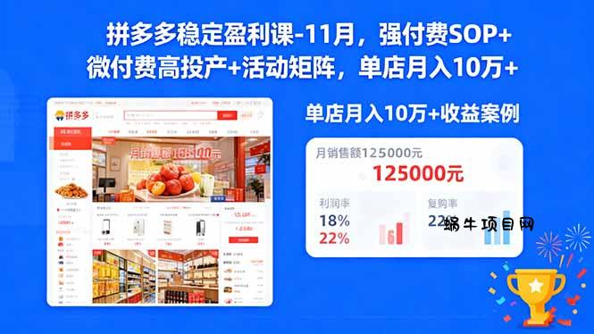 拼多多稳定盈利课-11月，强付费SOP+微付费高投产+活动矩阵，单店月入10w+-蜗牛项目网