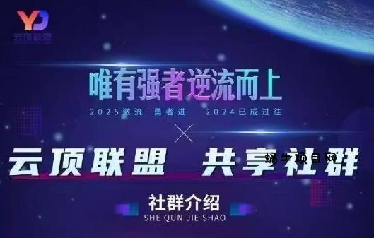 云顶联盟·无人直播实战(更新11月)-蜗牛项目网