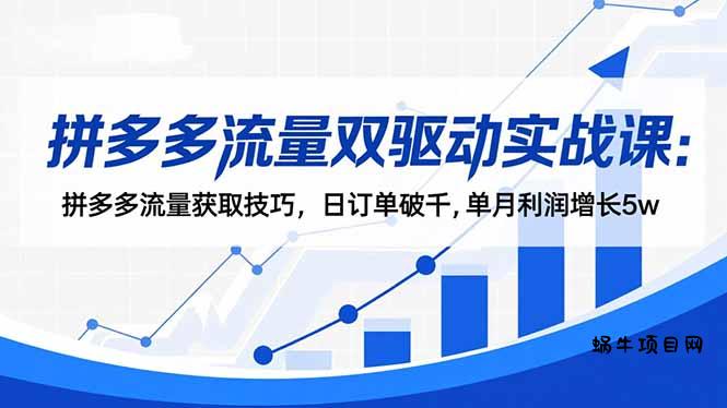 拼多多流量双驱动实战课：拼多多流量获取技巧，日订单破千,单月利润增长5w-蜗牛项目网