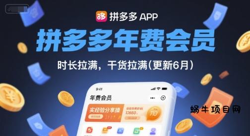 拼多多年费会员，实经验分享操，时长拉满，干货拉满(更新11月)-蜗牛项目网