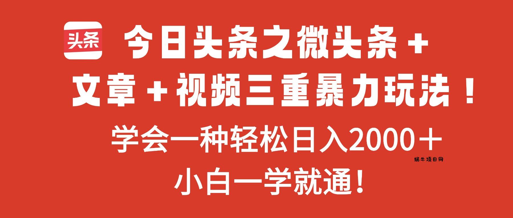 今日头条之微头条＋文章＋视频三重暴力玩法，学会一种轻松日入2000＋，...-蜗牛项目网