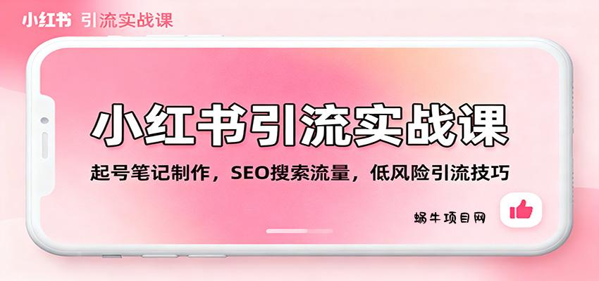 小红书引流实战课:起号笔记制作,SEO搜索流量,低风险引流技巧-蜗牛项目网