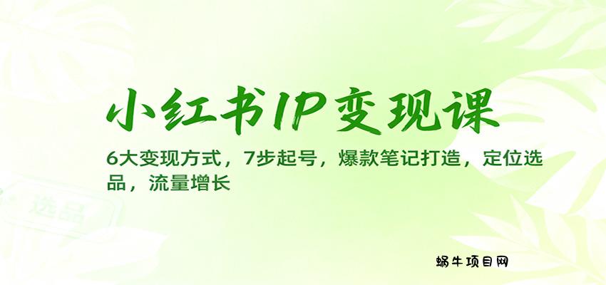 小红书IP变现课：6大变现方式，7步起号，爆款笔记打造，定位选品，流量增长-蜗牛项目网
