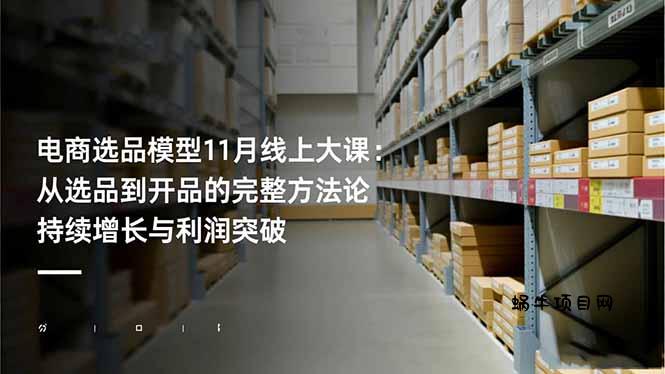 电商选品模型11月线上大课：从选品到开品的完整方法论 持续增长与利润突破-蜗牛项目网