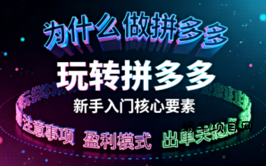 新手小白如何做拼多多-蜗牛项目网