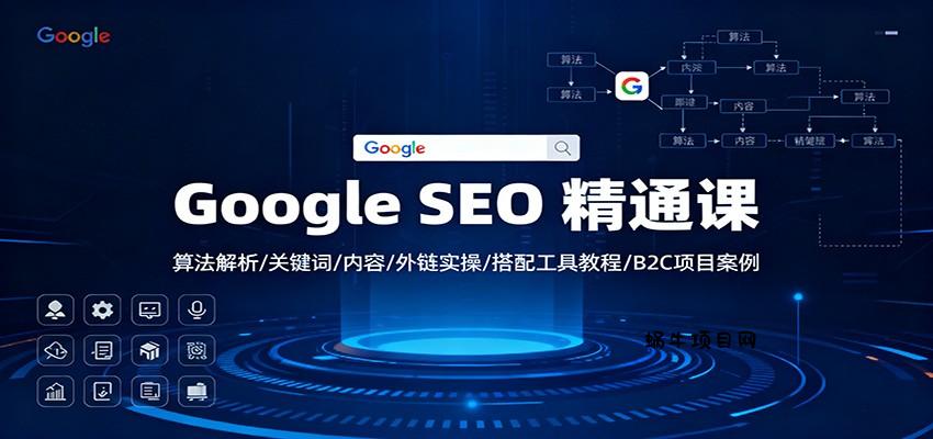 Google SEO 精通课：算法解析/关键词/内容/外链实操/搭配工具教程/B2C项目案例-蜗牛项目网