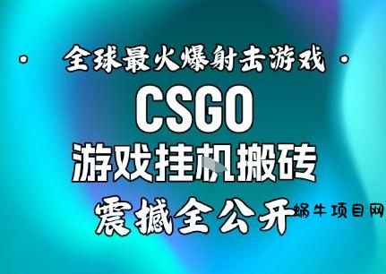 【年底大揭秘】基于全球最火爆的射击CSGO游戏挂G搬砖，日入5张+，震撼公开-蜗牛项目网