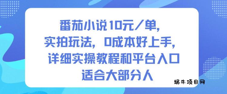 番茄小说10米每单,实拍玩法,0成本好上手,详细实操教程和平台入口适合大部分人-蜗牛项目网