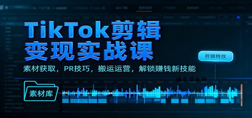TikTok剪辑变现实战课：素材获取，PR技巧，搬运运营，解锁赚钱新技能-蜗牛项目网