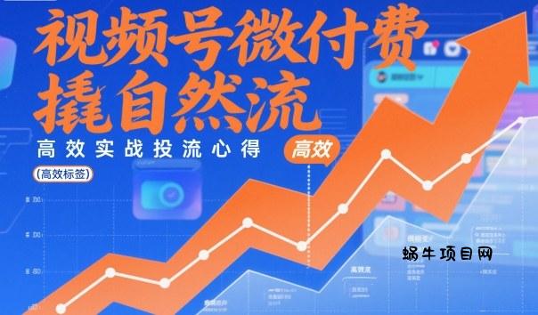 视频号微付费撬自然流，高效实战投流心得-蜗牛项目网