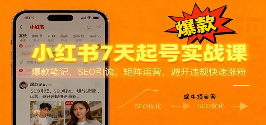 小红书7天起号实战课：爆款笔记，SEO引流，矩阵运营，避开违规快速涨粉-蜗牛项目网