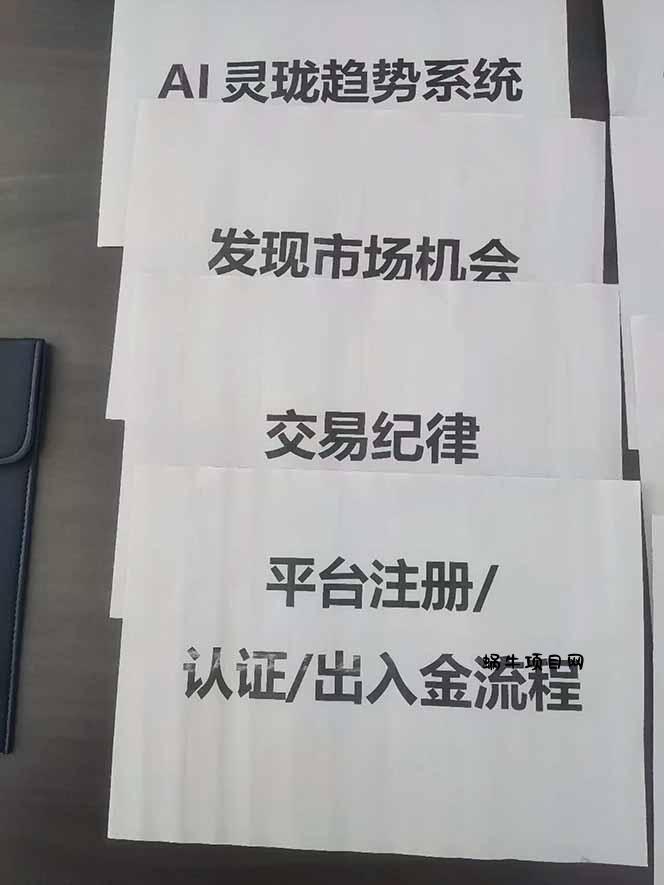 图片[3]-海外美金AI掘金项目，200U可入门槛，一天一单即可，每天1000-2000很轻松！-蜗牛项目网