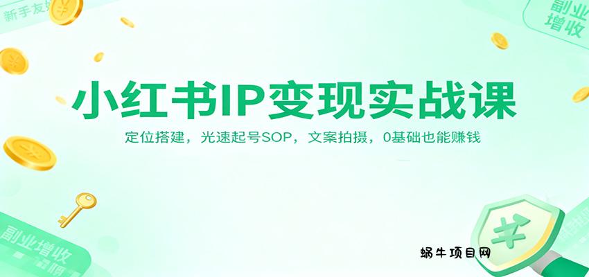 小红书IP变现实战课：定位搭建，光速起号SOP，文案拍摄，0基础也能赚钱-蜗牛项目网