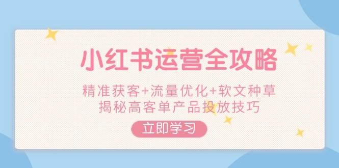 小红书运营全攻略，精准获客+流量优化+软文种草，揭秘高客单产品投放技巧-蜗牛项目网