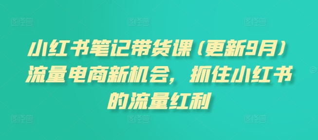 小红书笔记带货课(更新25年2月)流量电商新机会，抓住小红书的流量红利-蜗牛项目网