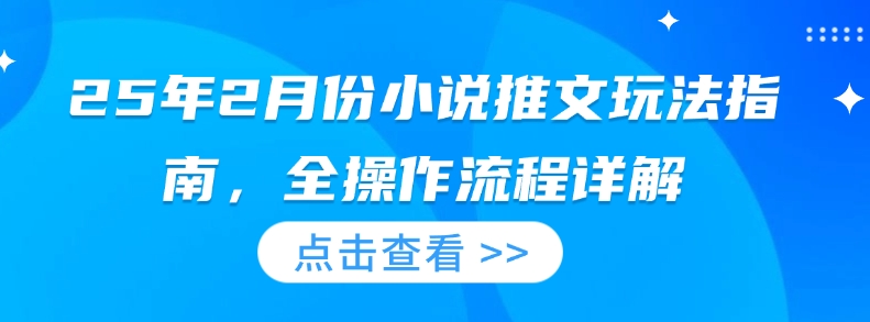 25年2月份小说推文玩法指南，全操作流程详解-蜗牛项目网