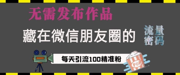 藏在微信朋友圈的流量密码，无需发布作品，单日引流100+精准创业粉【揭秘】-蜗牛项目网