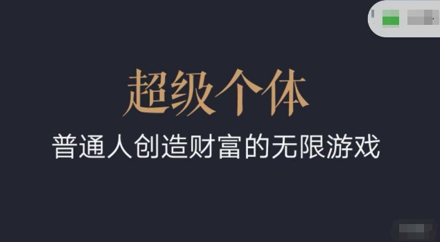 超级个体2024-2025翻盘指南，普通人创造财富的无限游戏-蜗牛项目网