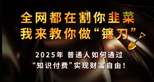 全网都在割你韭菜，我来教你做镰刀，2025年普通人如何通过 知识付费 实现财F自由【揭秘】-蜗牛项目网