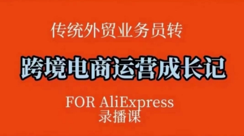 跨境电商速卖通运营课，​运营方法论+后台实操，逻辑清晰-蜗牛项目网