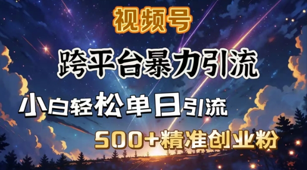 跨平台暴力引流，私域完美闭环，日引500+精准创业粉-蜗牛项目网