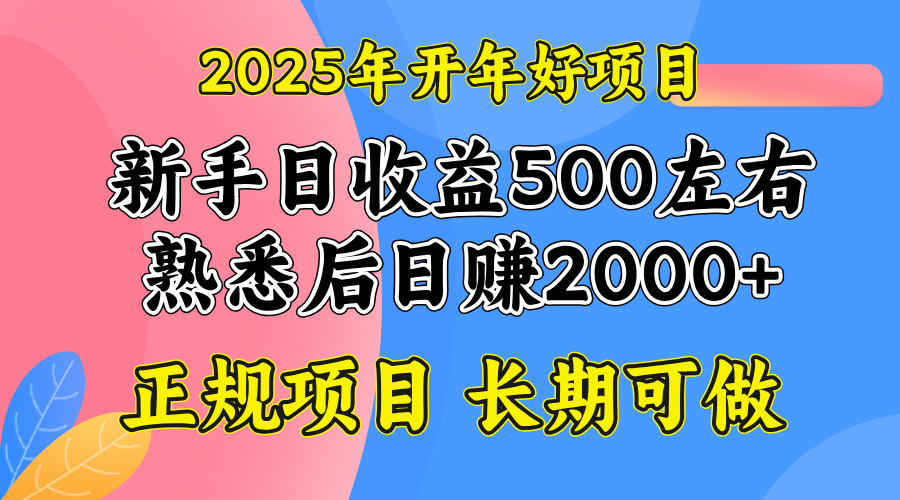 2025开年好项目，单号日收益2000左右-蜗牛项目网