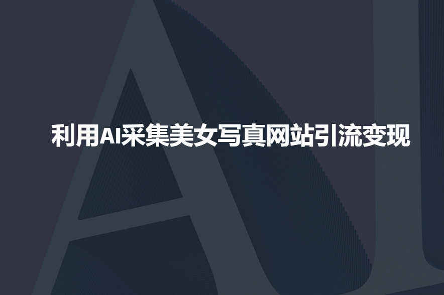 利用AI采集美女写真网站引流变现，引流嘎嘎的-蜗牛项目网