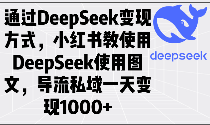 通过DeepSeek变现方式，小红书教使用DeepSeek图文，导流私域一天变现1000+-蜗牛项目网