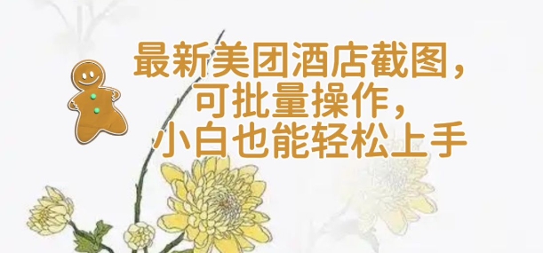 【轻云】最新美团酒店截图，可批量操作，小白也能轻松上手-蜗牛项目网