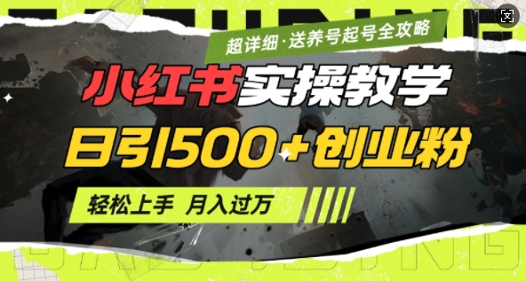2月小红书最新日引500+创业粉实操教学【超详细】小白轻松上手，月入1W+，附小红书养号起号SOP-蜗牛项目网