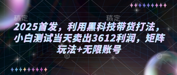 2025首发，利用黑科技带货打法，小白测试当天卖出3612利润，矩阵玩法+无限账号【揭秘】-蜗牛项目网